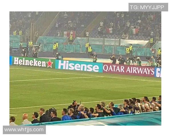 欧洲杯赛事球迷文化传播与互动研究